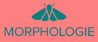 MORPHOLOGIE