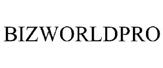 BIZWORLDPRO