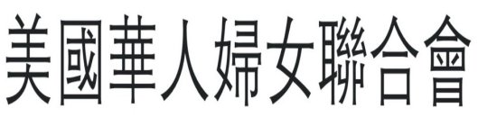 THE MARK CONSISTS OF THE WORDS 