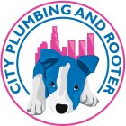 CITY PLUMBING AND ROOTER