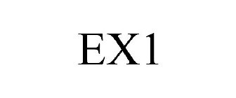 EX1