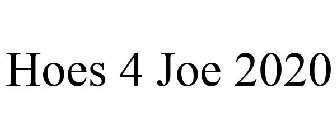 HOES 4 JOE 2020