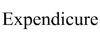 EXPENDICURE