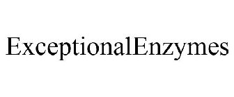 EXCEPTIONALENZYMES