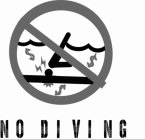 NO DIVING $ $ $