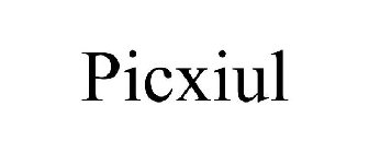 PICXIUL