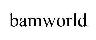 BAMWORLD