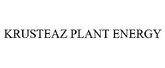 KRUSTEAZ PLANT ENERGY