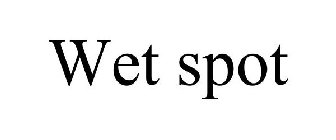 WET SPOT