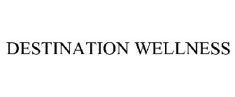 DESTINATION WELLNESS