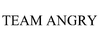 TEAM ANGRY