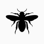 Image Trademark