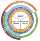 HEART MUSCLE RELAXATION BRAIN BRAIN MOOD MOOD CELLULAR HEALTH CELLULAR HEALTH CELLULAR HEALTH MUSCLE FUNCTION MUSCLE FUNCTION MUSCLE FUNCTION MAGNESIUM GLYCINATE MAGNESIUM TAURINATE MAGNESIUM ASPARTAT