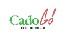 CADOGO FRESH RIPE AVOCADO