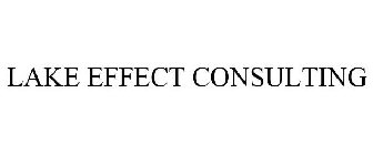 LAKE EFFECT CONSULTING