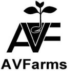 AVF AVFARMS