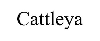CATTLEYA