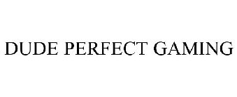 DUDE PERFECT GAMING