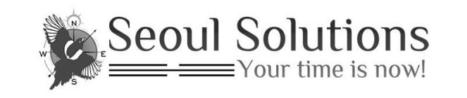 SEOUL SOLUTIONS YOUR TIME IS NOW!