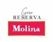 GRAN RESERVA MOLINA