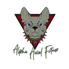 ALPHA AERIAL FITNESS