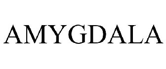 AMYGDALA