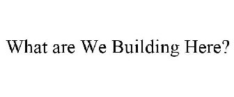 WHAT ARE WE BUILDING HERE?