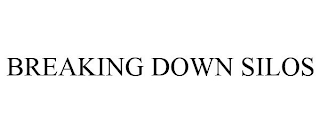 BREAKING DOWN SILOS