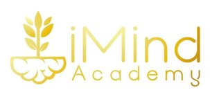 IMIND ACADEMY