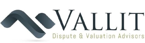 VALLIT DISPUTE & VALUATION ADVISORS