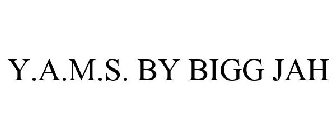 Y.A.M.S. BY BIGG JAH