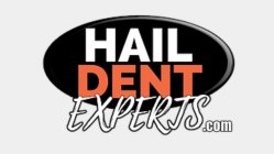 HAIL DENT EXPERTS.COM