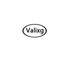 VALIXG