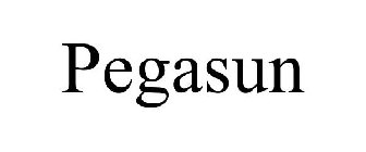PEGASUN