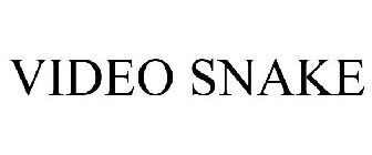 VIDEO SNAKE