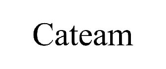 CATEAM