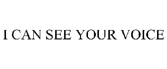 I CAN SEE YOUR VOICE