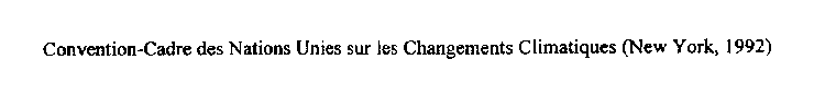 CONVENTION-CADRE DES NATIONS UNIES SUR LES CHANGEMENTS CLIMATIQUES (NEW YORK, 1992)