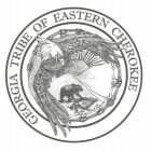 GEORGIA TRIBE OF EASTERN CHEROKEE