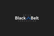 AGILE BLACK BELT CONSULTING