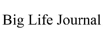 BIG LIFE JOURNAL