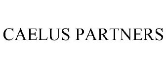 CAELUS PARTNERS