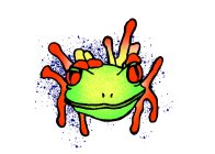 AMPHIBIAN APPAREL EST2020