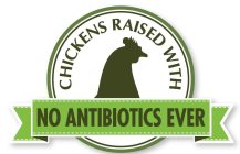 CHICKENS RAISED WITH NO ANTIBIOTICS EVER