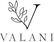 V VALANI