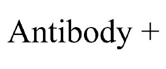 ANTIBODY +