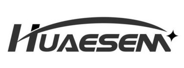 HUAESEM