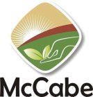 MCCABE