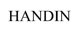 HANDIN