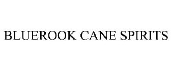 BLUEROOK CANE SPIRITS